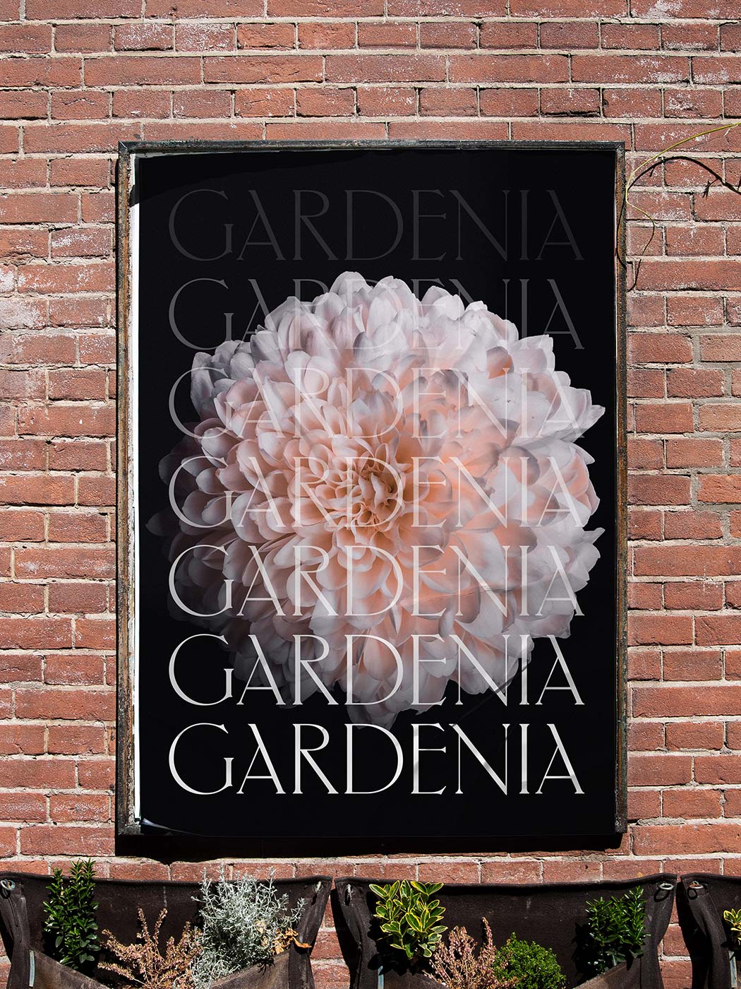 Studio-Hrastar-Gardenia-Street-ADV
