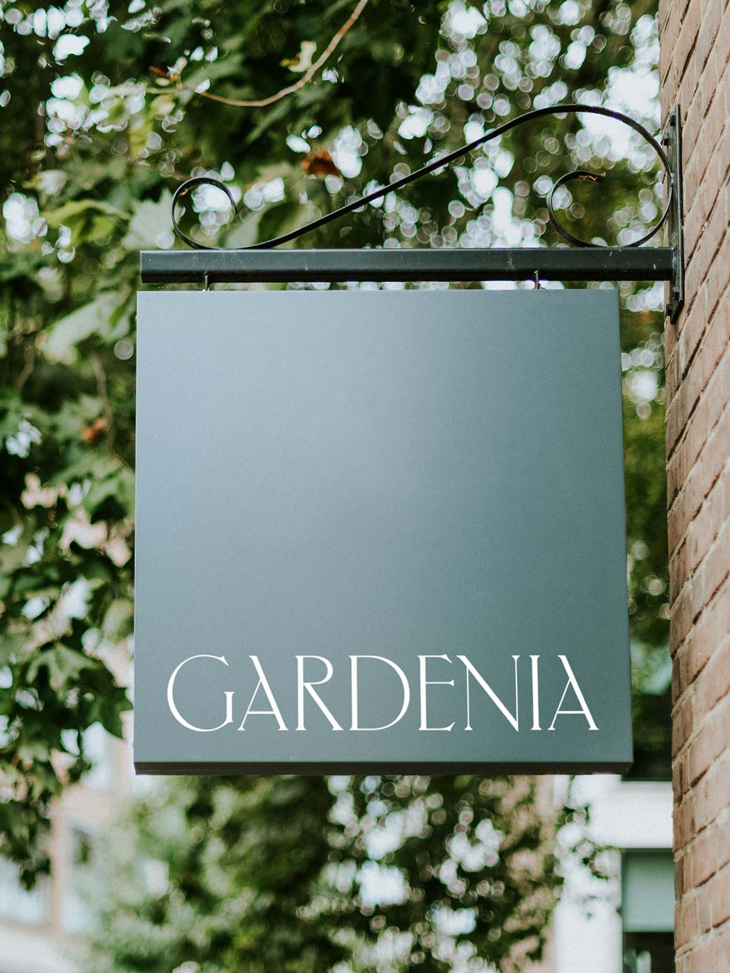 Gardenia